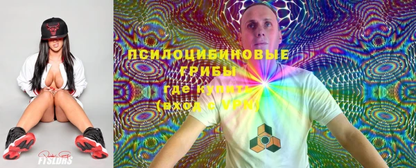 гашик Абаза