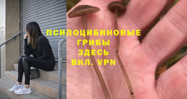 гашик Абаза