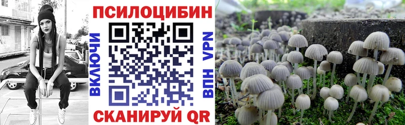 цена наркотик  Урюпинск  Псилоцибиновые грибы Cubensis 